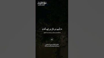 #سورة_الأنبياء ||حالات واتس قرآن ||القارئ#محمد_صديق_المنشاوي #تلاوة_هادئة #المصحف #راحة_نفسية