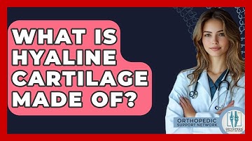 What Is Hyaline Cartilage Made Of? - Orthopedic Support Network