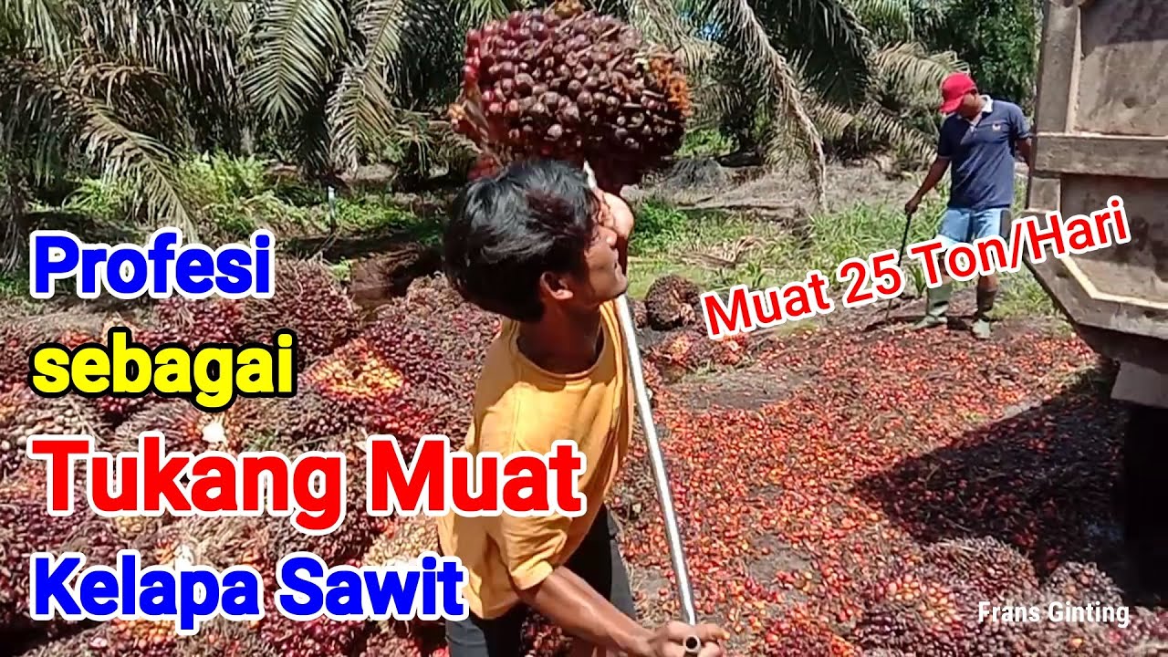 PROSES MUAT KELAPA SAWIT