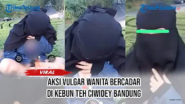 Heboh, Video Aksi Vulgar Wanita Bercadar di Kawasan Kebun Teh Ciwidey, Bandung