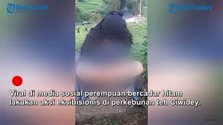 Heboh, Video Aksi Vulgar Wanita Bercadar di Kawasan Kebun Teh Ciwidey, Bandung