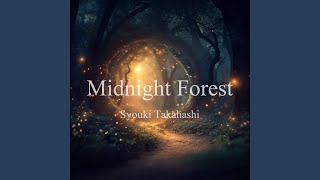Midnight Forest