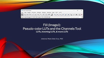 FIJI (ImageJ): Pseudocolor LUTs and the Channels Tool [LUTs, Inverting LUTs & more LUTs]