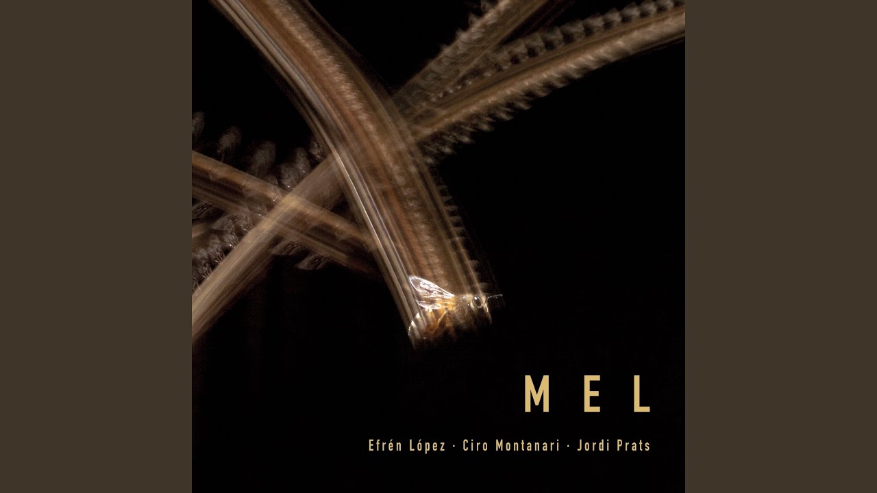 Watch The Inspired Bee on YouTube Watch The Inspired Bee on YouTube