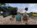 How to catch the fancy carp in real vr fishing year 2 edition