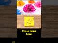 Chrysanthemum. How to make paper flowers. #shorts #Paperflowers #papercraft #chrysanthemumflower