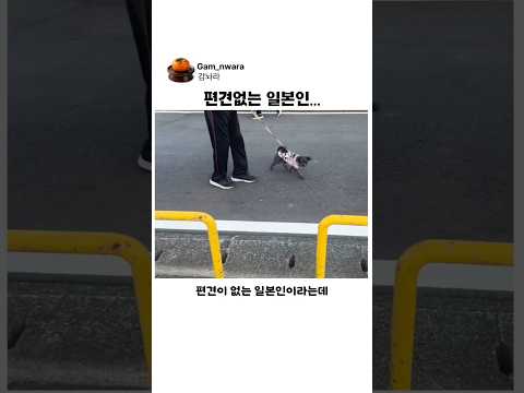 편견 없는 일본인 thumbnail