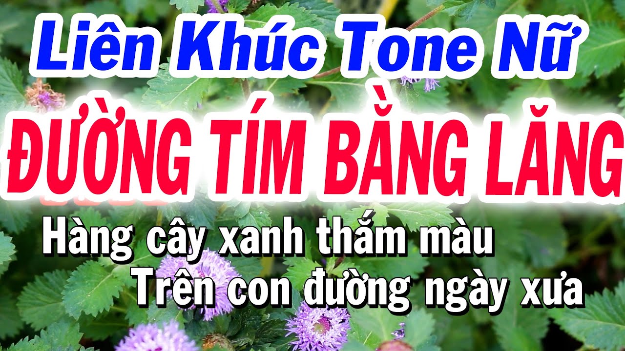 Karaoke Liên Khúc TONE NỮ -  Đường Tím Bằng Lăng | Tuyết Nhi