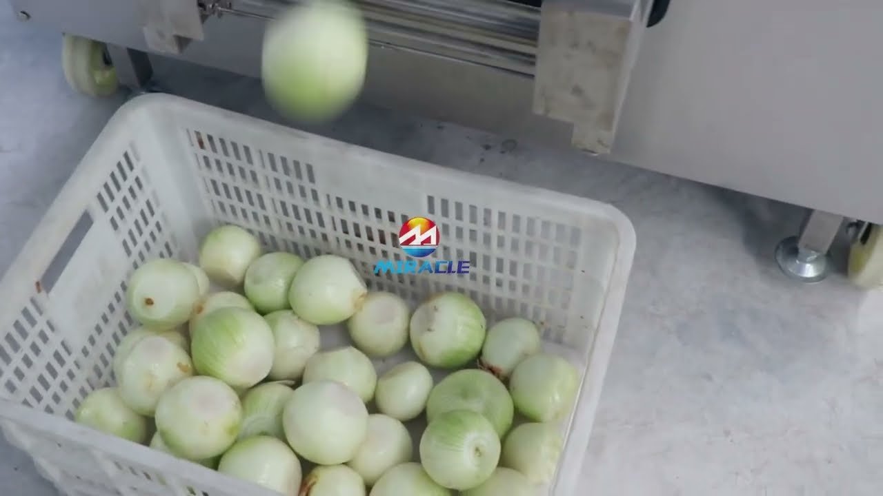 Industrial Onion Peeling Machine, Onion Root Cutter for Farm 