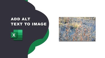 How to add alt text to images in Excel | Add alt text to a picture in Excel