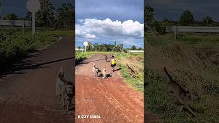 The Princess Is Back