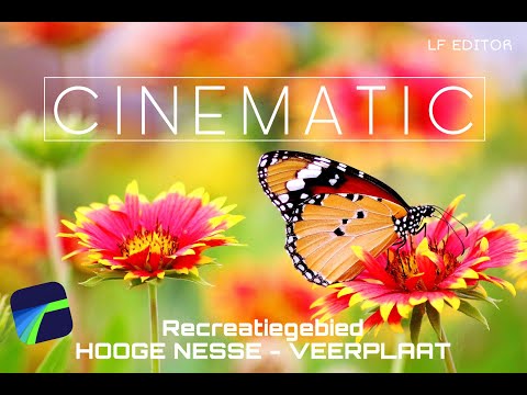 Nature in the Netherlands (CINEMATIC) - Recreatiegebied Hooge Nesse - Veerplaat - Natuur Nederland