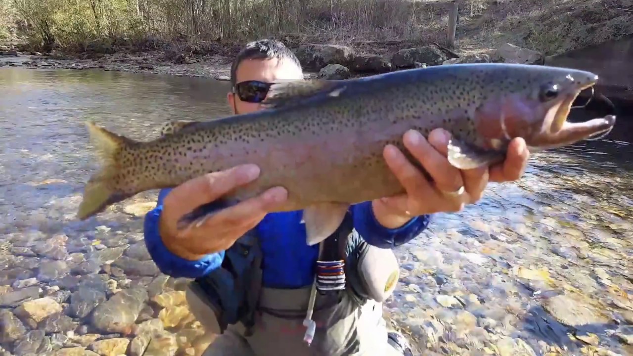 Fly Fishing Dukes Creek Youtube