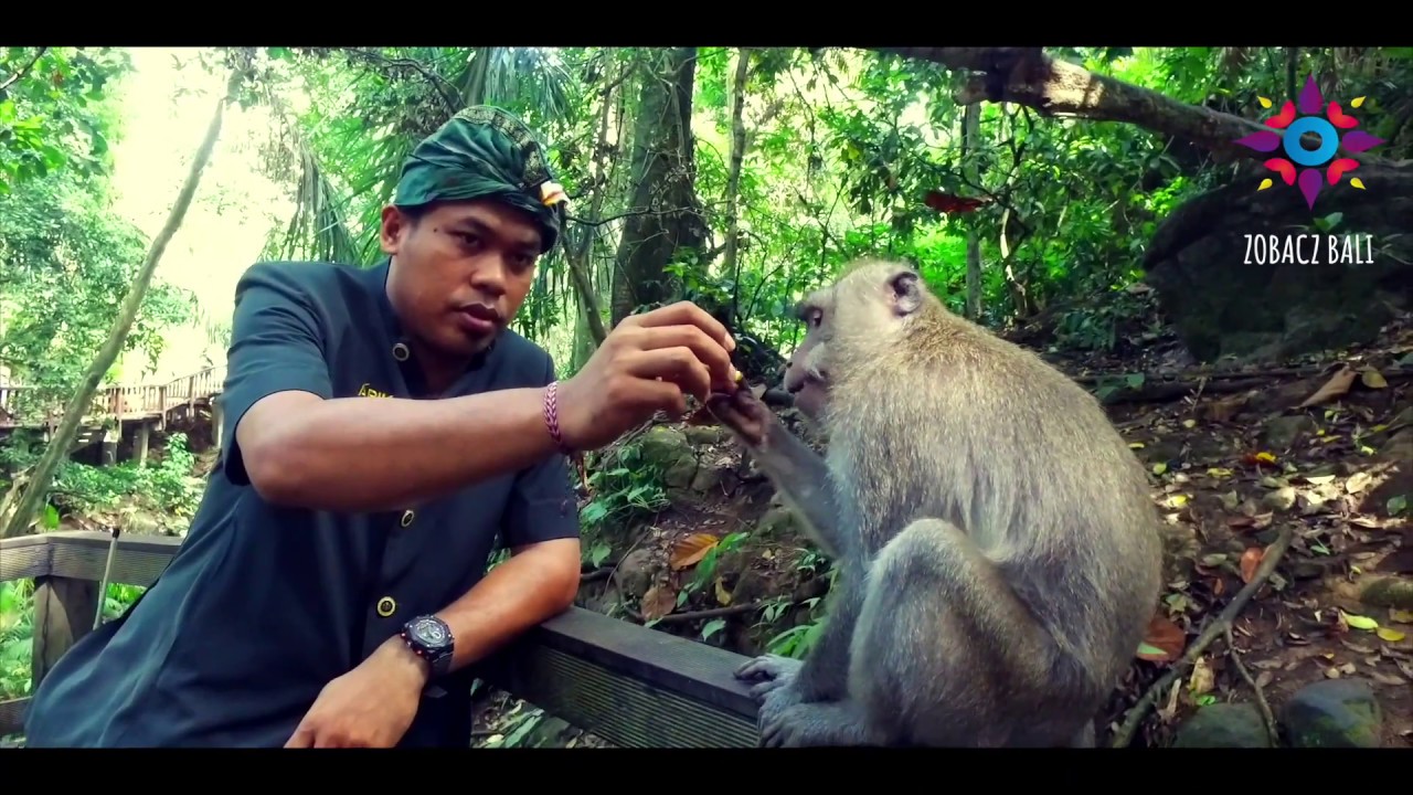 zobacz-bali-zwiedzanie-bali-youtube