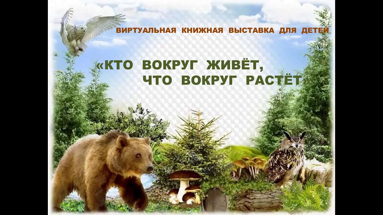 Всемирный день дикой природы Всемирный день дикой природы