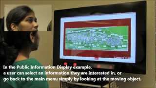 Pursuits: Spontaneous Interaction with Displays
