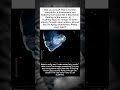 Underwater Flower That Can Fly? Meet the Ocean’s Tiny Sea Butterfly