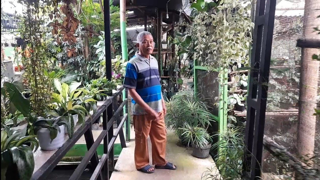 PART 2🏡 BLUSUKAN KE RUMAH PAK WID BARENG PAK HASAN 🏡 SURGA TERSEMBUNYI DI BELAKANG RUMAH PAK WID 🪴