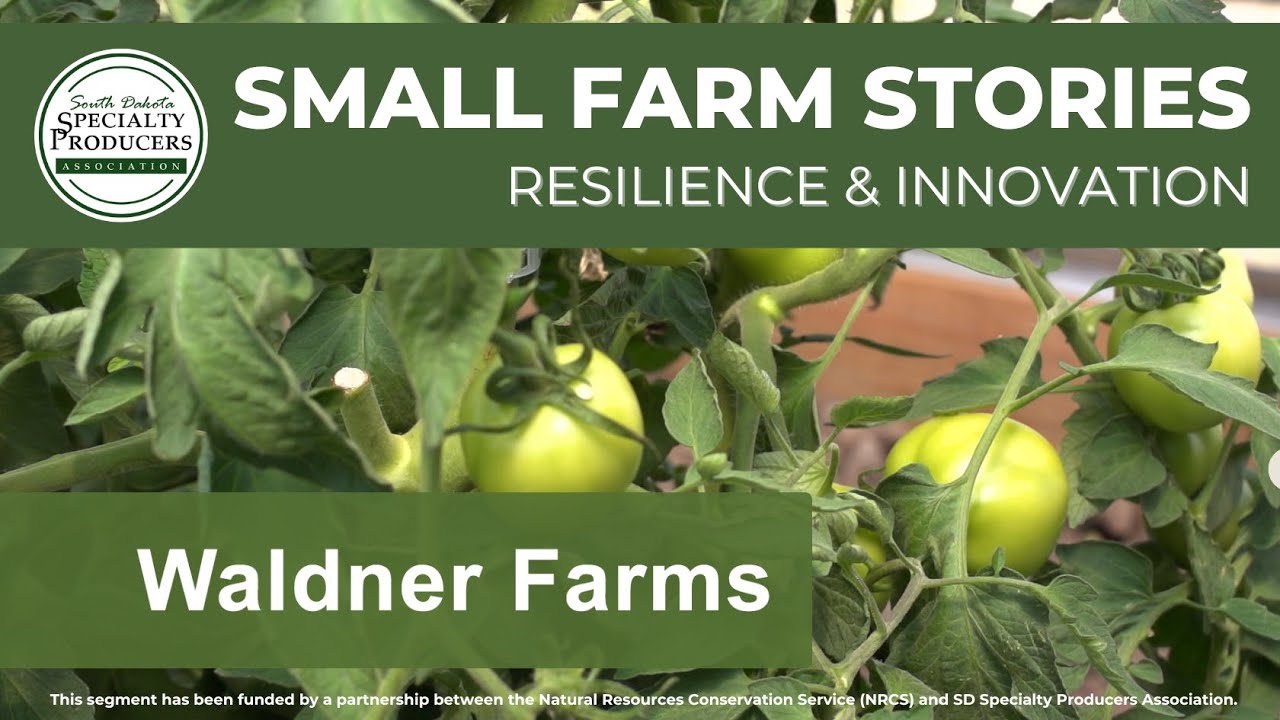 Waldner Farms, Small Farm Stories: Resilience and Innovation