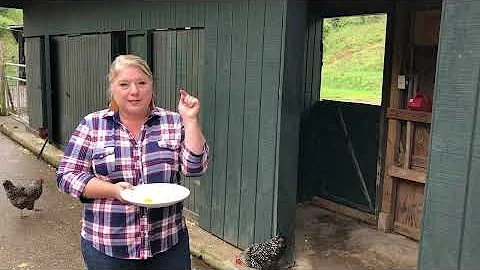 All About Eggs Poultry Webinar 2022