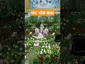 जय भोले बाबा #song #love #music #religion #bollywood #newsong #ranveersingh #bhagwat #pradeepmishra