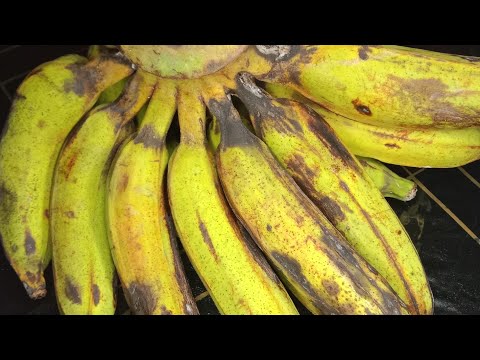 Olahan Kue Dari Pisang Nangka