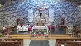 May 2, 2026, 5th Sunday of Easter, 5:00 PM Mass