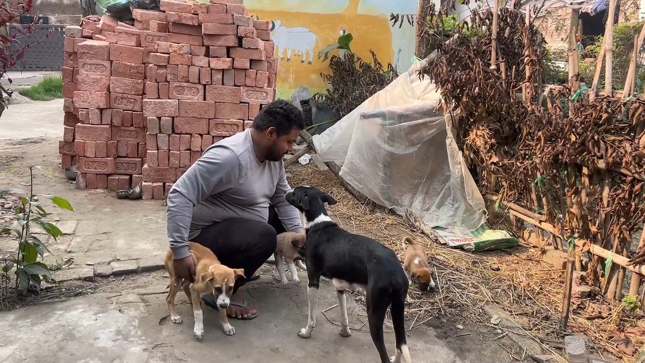 सुबह-सुबह इन सब को क्या हो गया