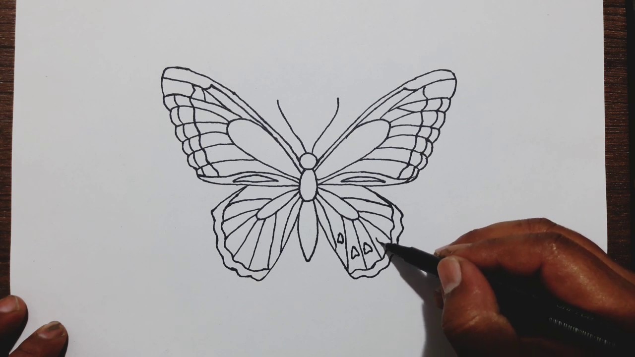 Featured image of post Butterfly Drawing Cute Simple Aesthetic Drawings Easy