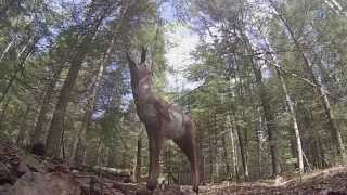 3D Archery : Lakehead Archers Rubber Boot Shoot 2013 screenshot 4