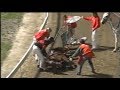 Harness Racing Accident,Harold Park-03/05/1991 (Sirssamm-D.S.Lang)