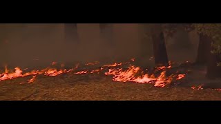Dutch Fire forces evacuations