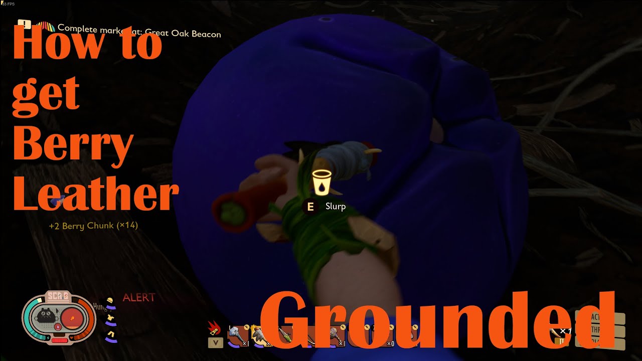 How to get Berry Leather grounded YouTube
