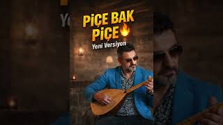 Piçe Bak Piçe (Ali Kızıltuğ)