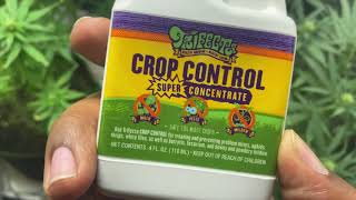( Trifecta crop control ) Spider Mite Treatment Part. 1