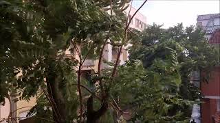 Storm Wind and Rain in the City | Urban Weather Ambience Sound Effect