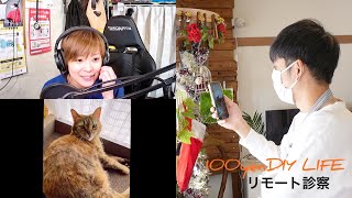 美人獣医師に愛猫をリモートで診察してもらった結果…
