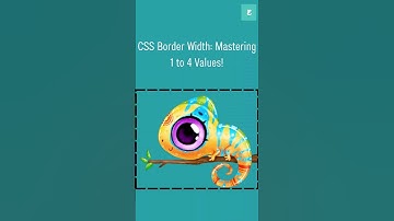 CSS Border Width: Mastering 1 to 4 values! #programming #shorts
