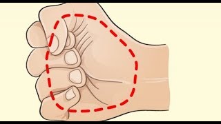 HERE’S HOW YOUR HANDS CAN HELP YOU DETERMINE THE IDEAL AMOUNT OF FOOD YOU NEED