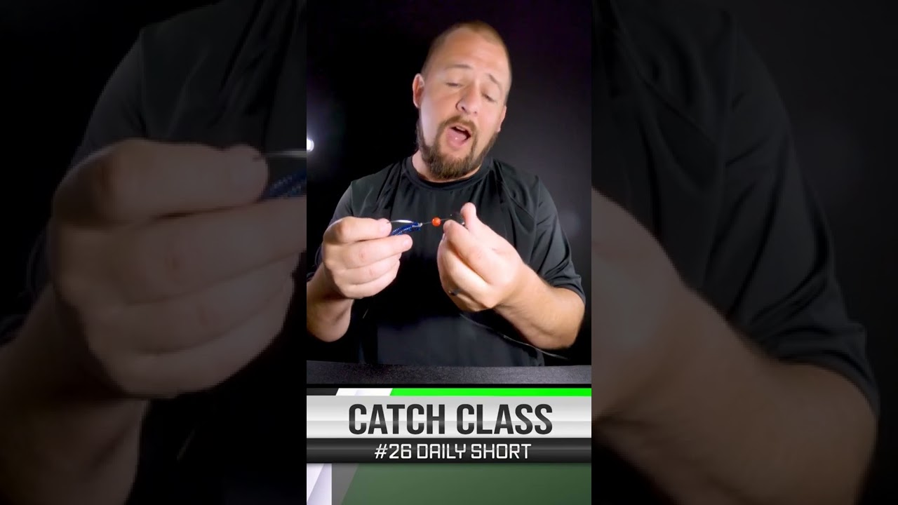 Carolina Texas Rig??? Carolina Rig Alternative 