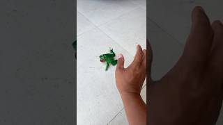 Celebrity Catch big frogs funny | Try don't laugh | wepwep catching frogs make you laugh Profile