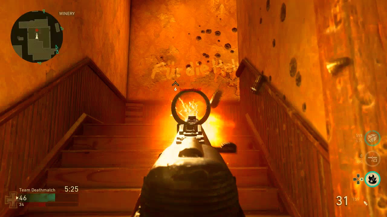 My 1ST Gun Variant PPSH IRON CURTAIN in CALL OF DUTY WORLD WAR 2. YouTube