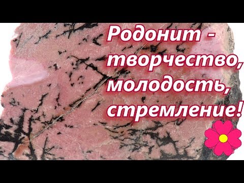 Бейне: Родонит тасының қасиеттері және зодиак белгісіне сәйкес кімге сәйкес келеді