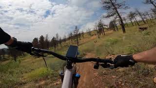 Overland Loop 