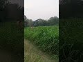 #nature#love