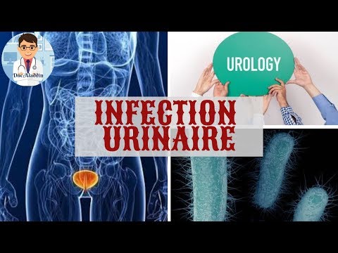 Vidéo: Infection Des Voies Urinaires (IVU) Chez Les Chiens: Symptômes, Causes Et Traitements