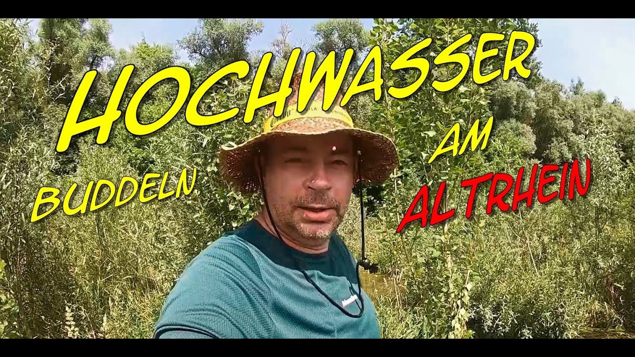 Goldwaschen Hochwasser Buddeln am Altrhein