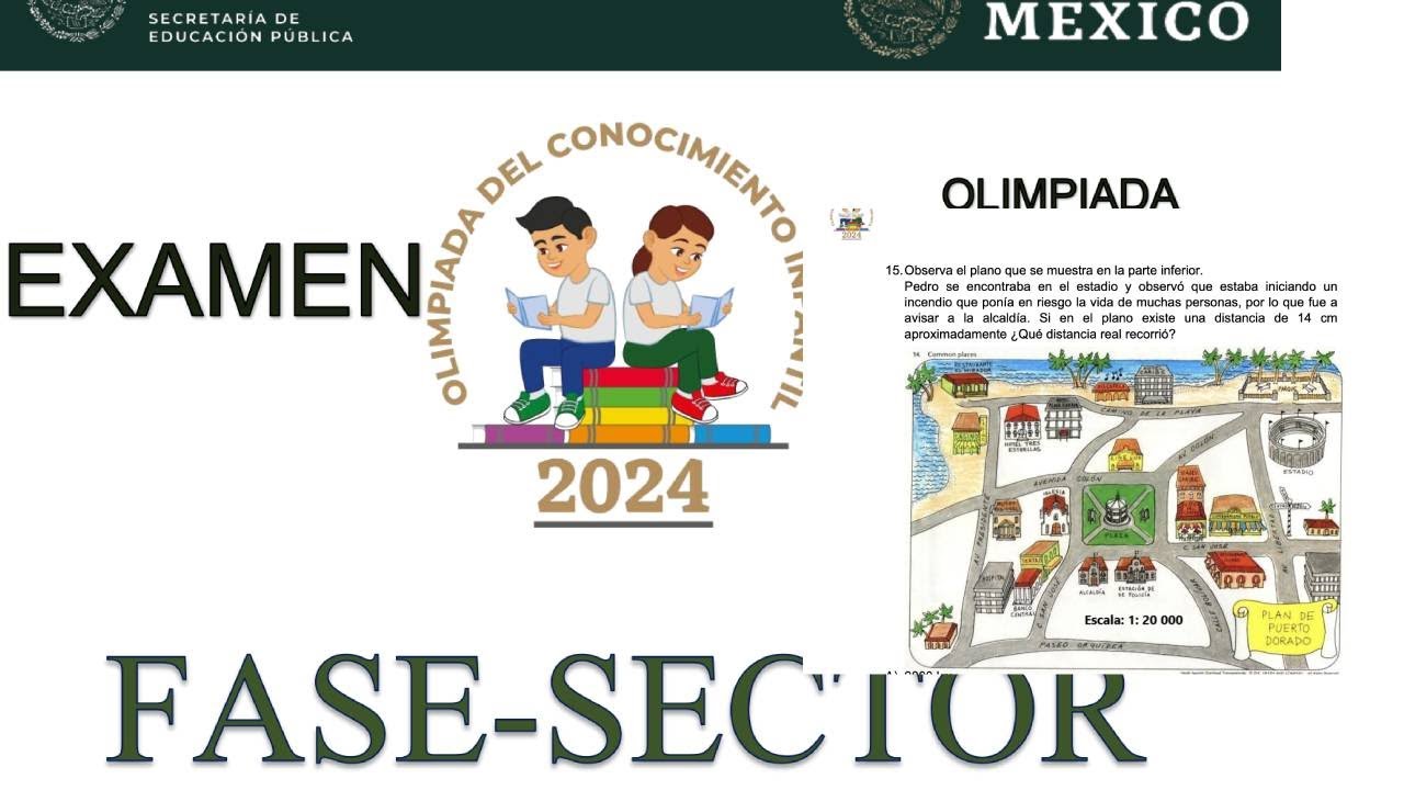 Olimpiada del conocimiento infantil 2024| Fase sector - YouTube