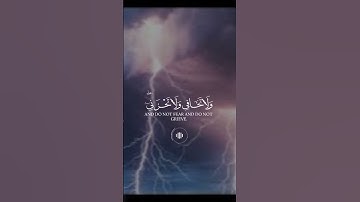 آيات جميله للشيخ ياسر الدوسري#آيات_القرآن_الكريم #قرآن_كريم #اكتب_شي_توجر_عليه #قرآن #راحة_نفسية