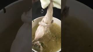 Donald Ducc Never Thought This Would Happen